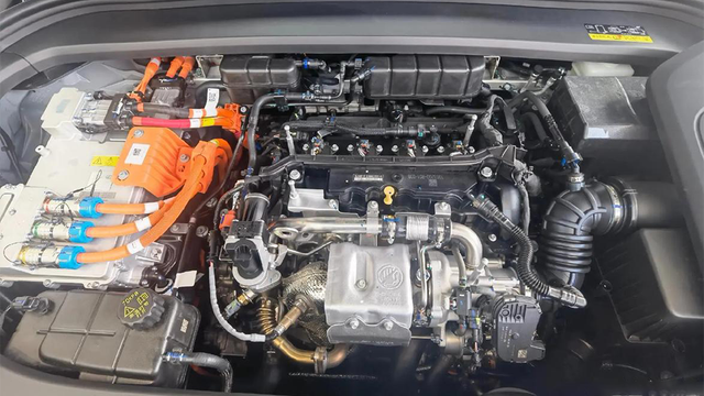 1736955307-5ecd7eb5edc1e2e 1736955307-5ecd7eb5edc1e2e